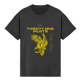 Twenty one pilots