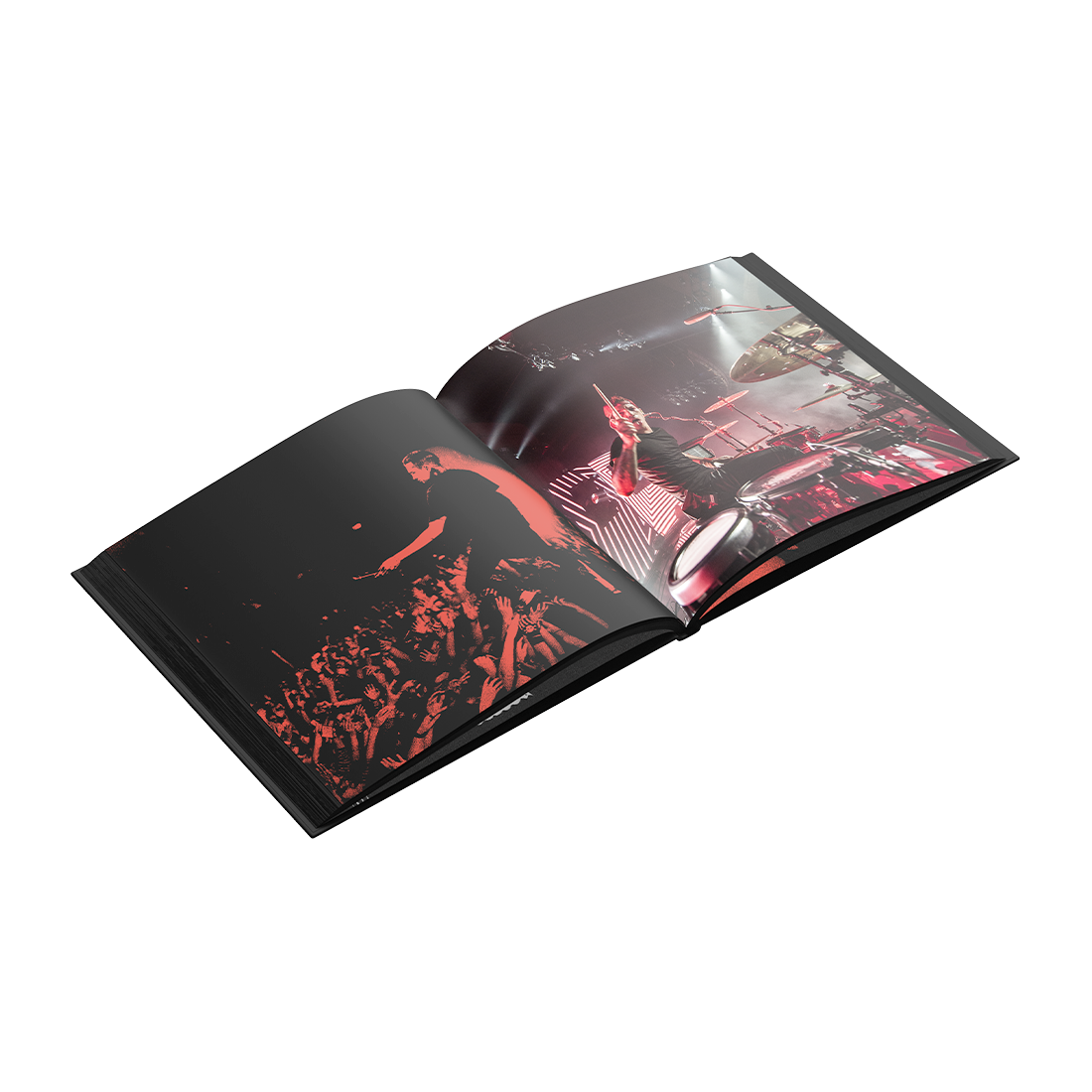 Blurryface (10th Anniversary) Vinyl Coffee Table Book