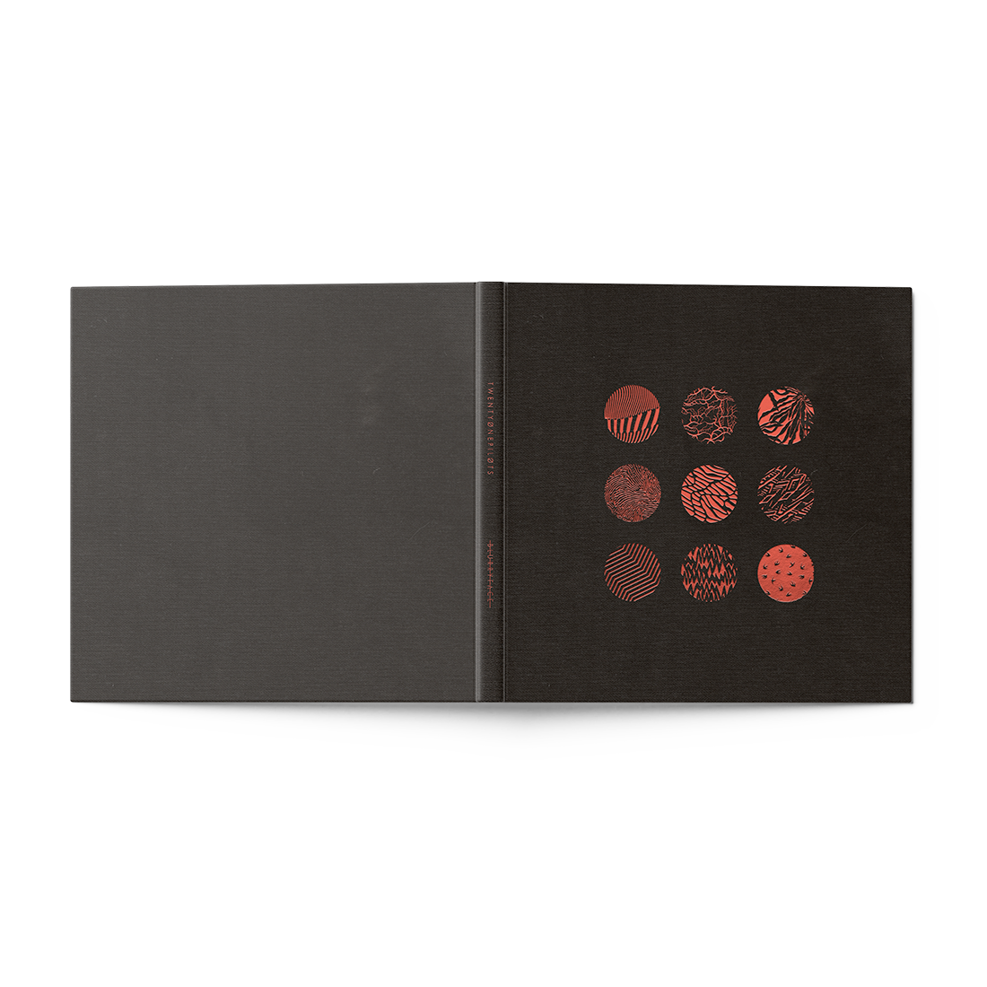 Blurryface (10th Anniversary) Vinyl Coffee Table Book